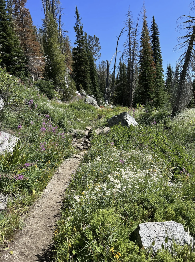 Wallowa Lakes Basin - Sahale Outdoors