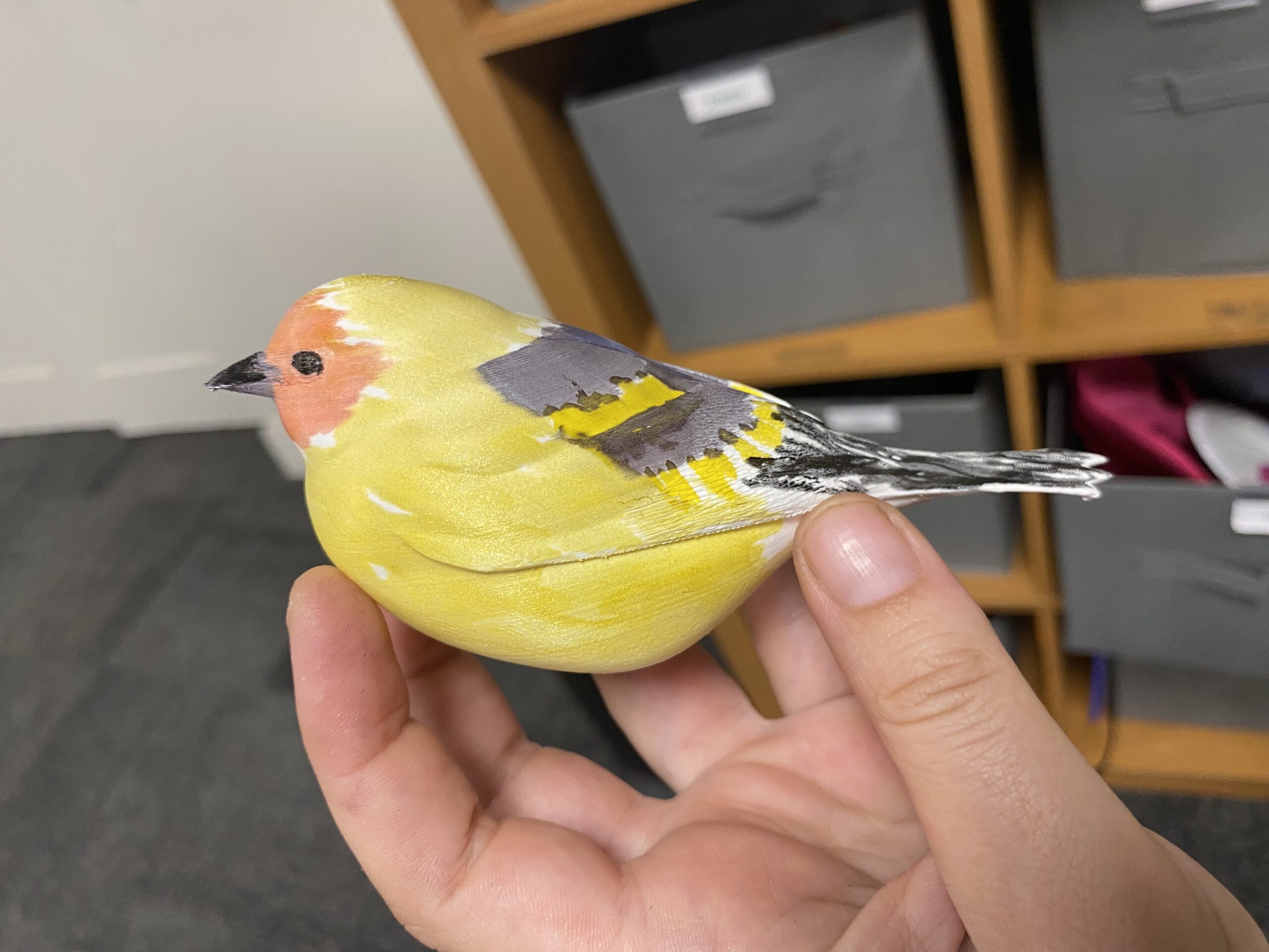 &nbsp;